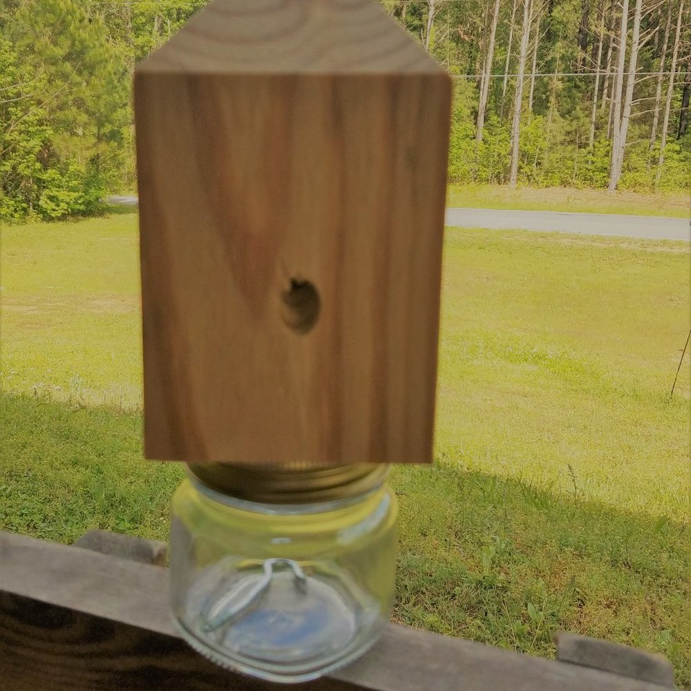 COPY - Carpenter/Boring Bee Catcher